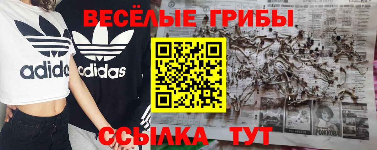 Галлюциногенные грибы мухоморы Батайск