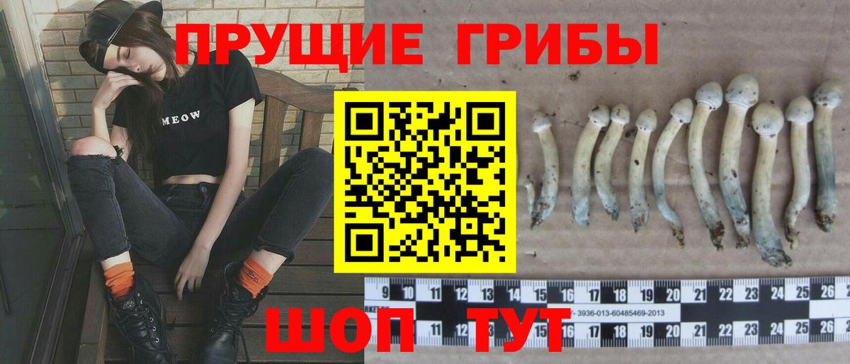 Батайск  Галлюциногенные грибы мицелий  Вход с VPN  Псилоцибиновые грибы MAGIC MUSHROOMS 