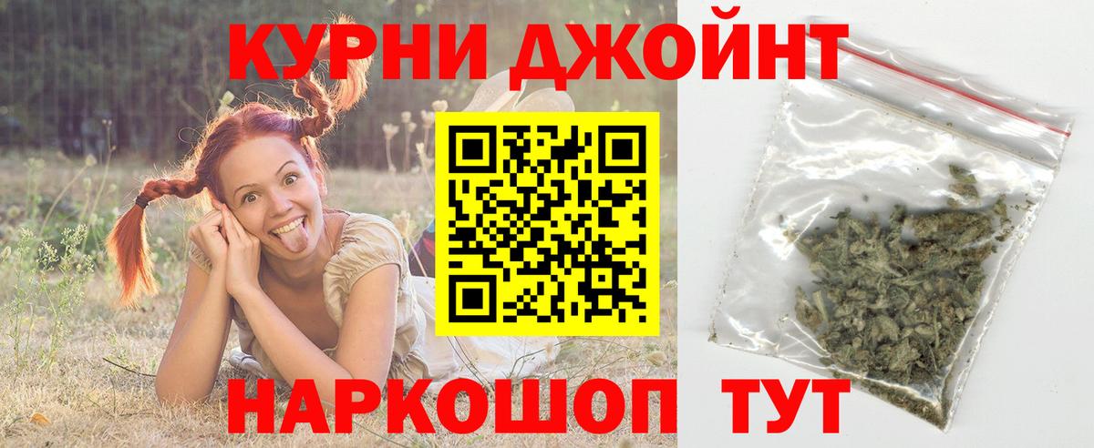 Бошки Шишки план Батайск